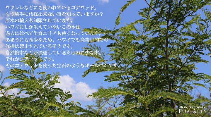 コアウッドの説明画像/ハワイアンジュエリーブランドPUAALLY(プアアリ)