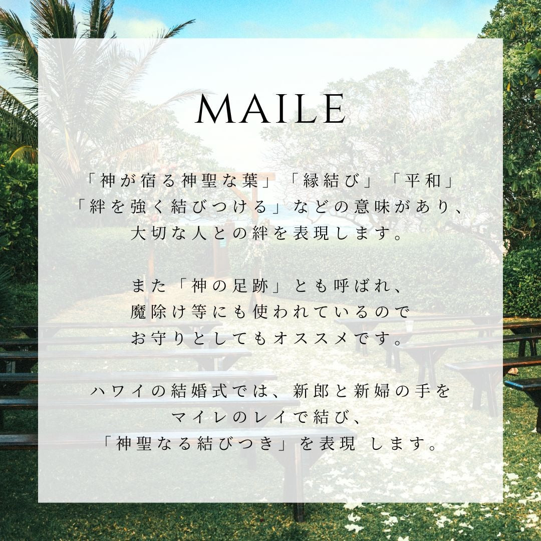 マイレの意味画像/ハワイアンジュエリーブランドPUAALLY(プアアリ)