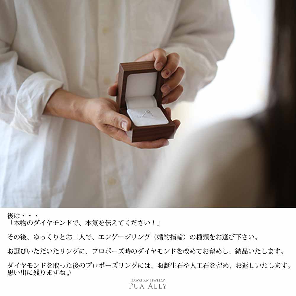 プロポーズリング 0.3ct Panana-羅針盤-