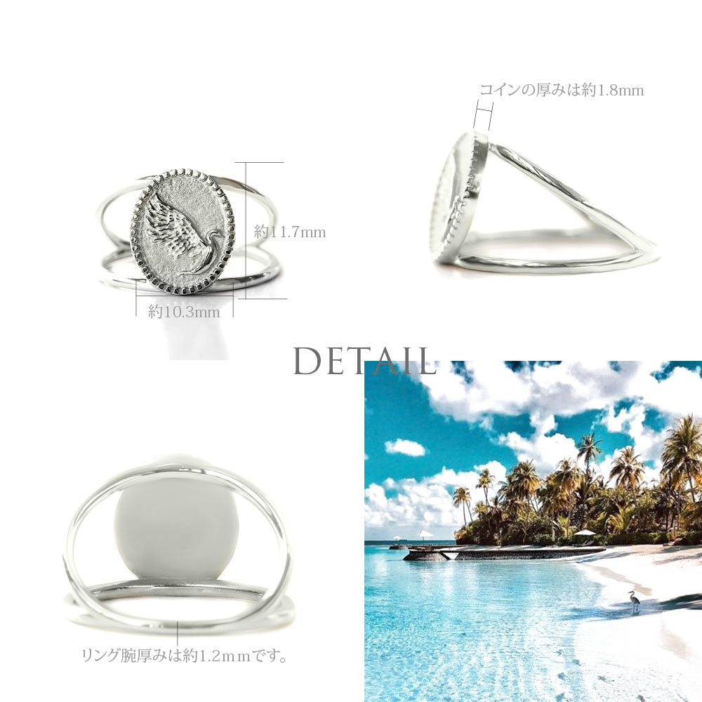 Pt900 ハワイアンネネコイン リングディテール画像/ハワイアンリング/ハワイアンジュエリーリング/ハワイアンジュエリーブランドPUAALLY(プアアリ)