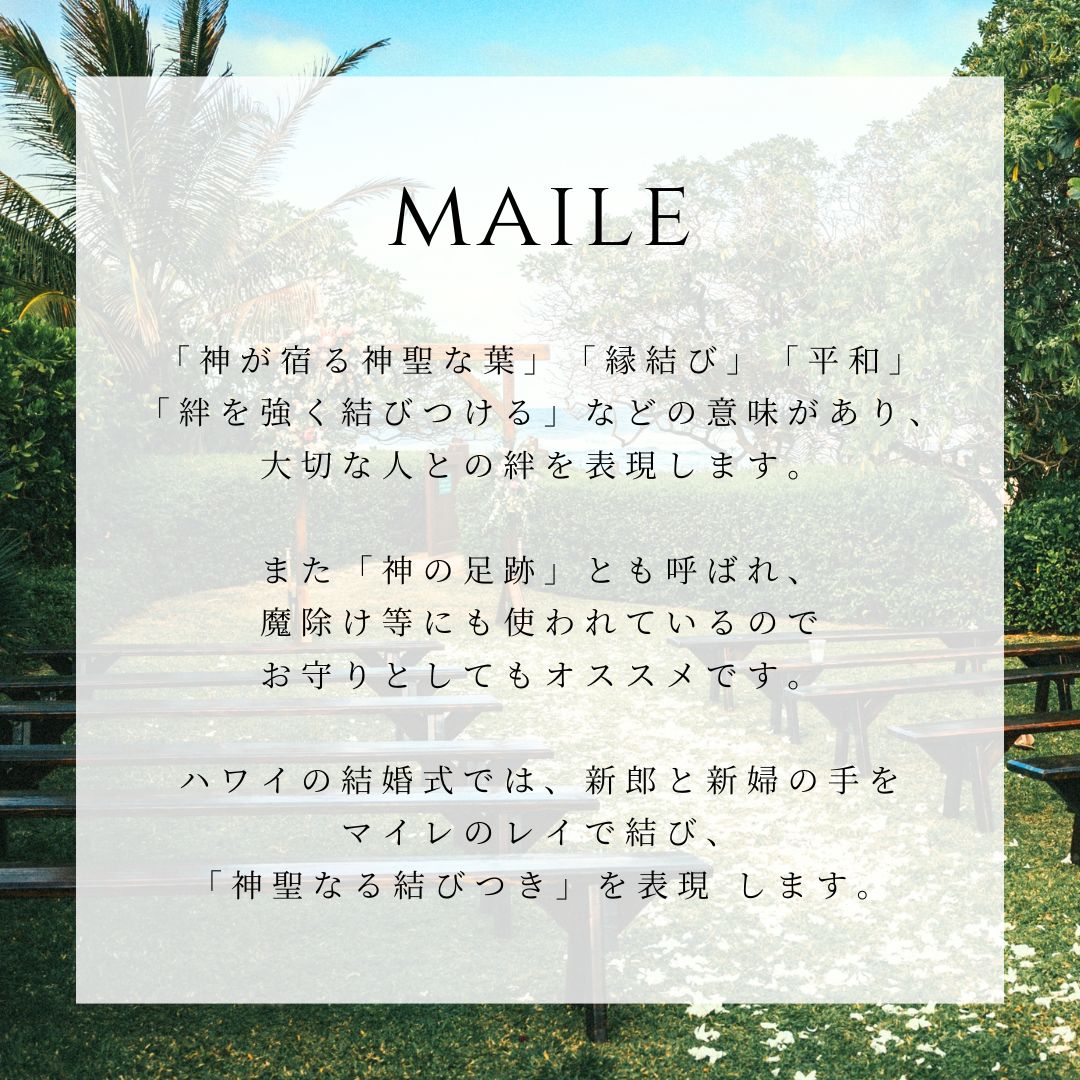 ハワイアン マイレ意味画像/ハワイアンジュエリーブランドPUAALLY(プアアリ)