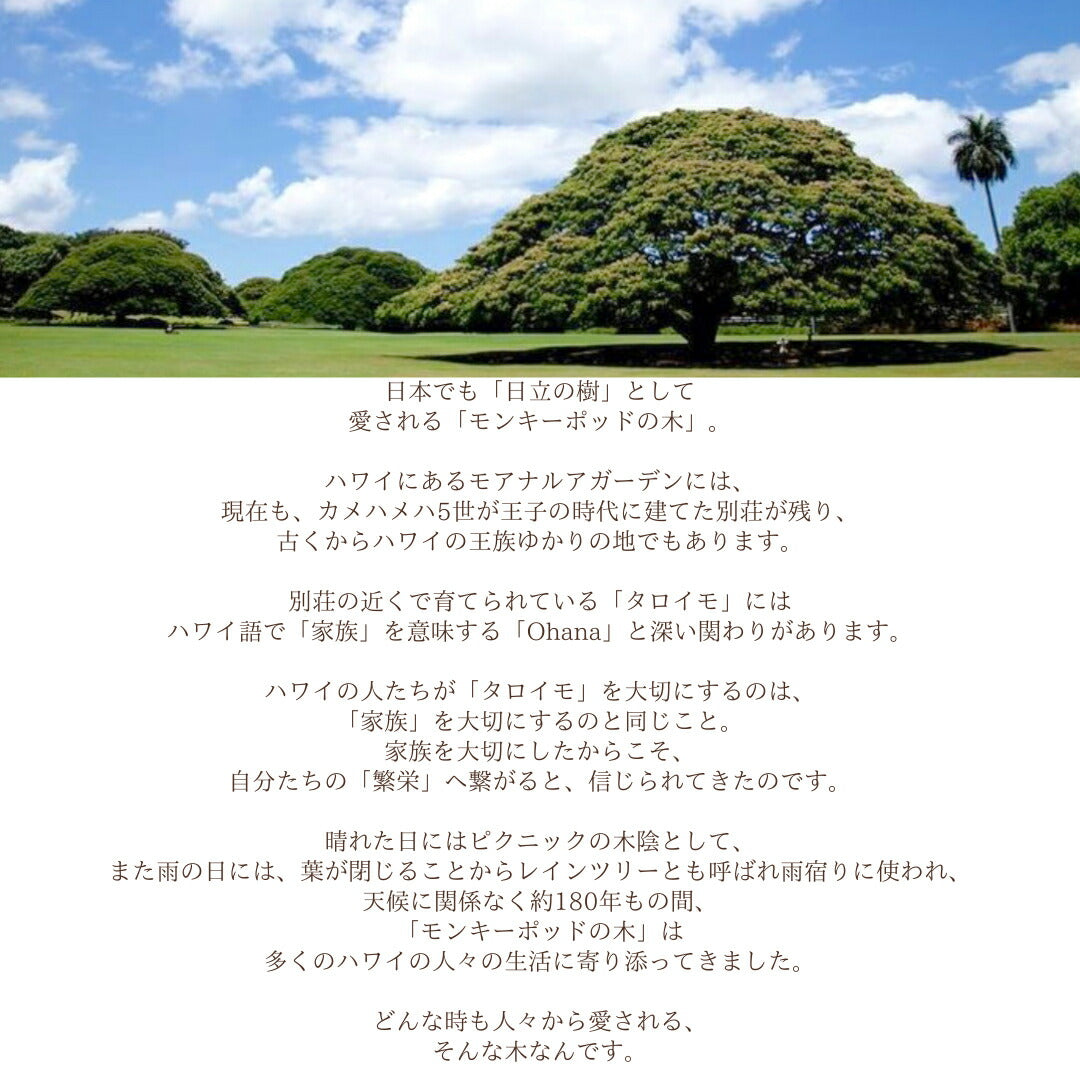 モンキーポッド意味画像/ハワイアンジュエリーブランドPUAALLY(プアアリ)