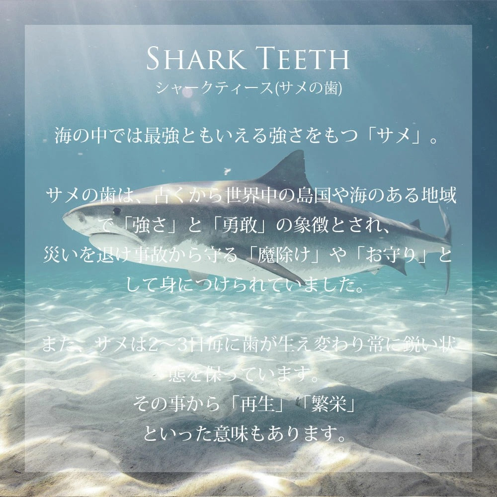 ハワイアン シャークティース意味画像/ハワイアンジュエリーブランドPUAALLY(プアアリ)