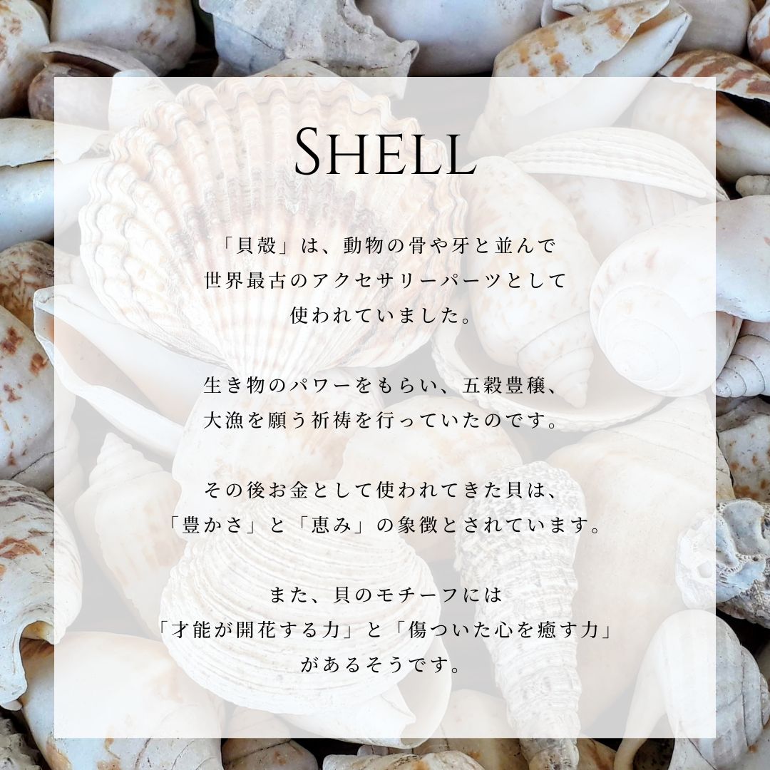 シェル意味画像/ハワイアンジュエリーブランドPUAALLY(プアアリ)