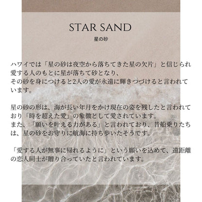 【WEB限定】K14 星の砂 片耳ピアス表題意味画像