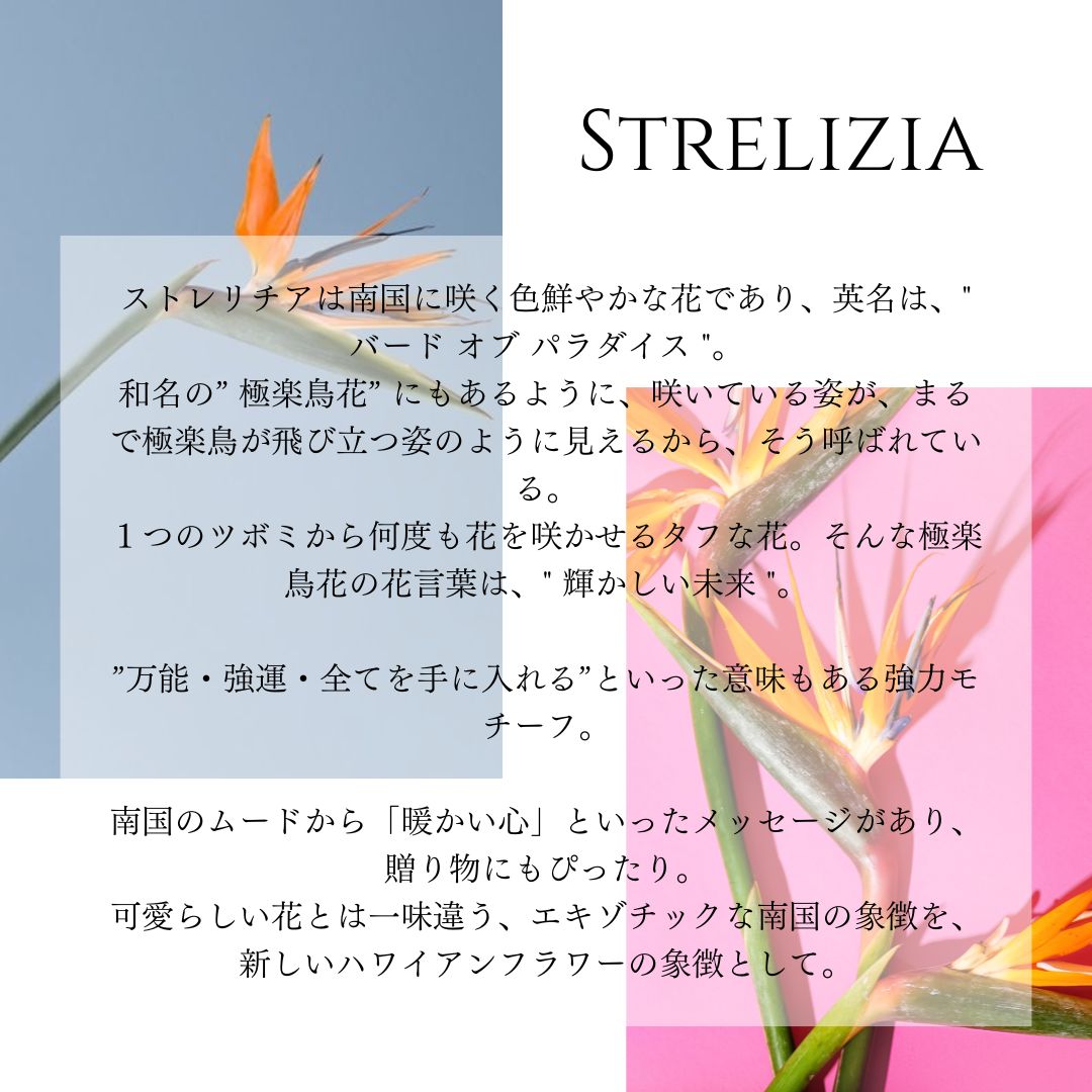 K14 ストレリチア ペンダントトップの意味/ハワイアンジュエリーブランドPUAALLY(プアアリ)