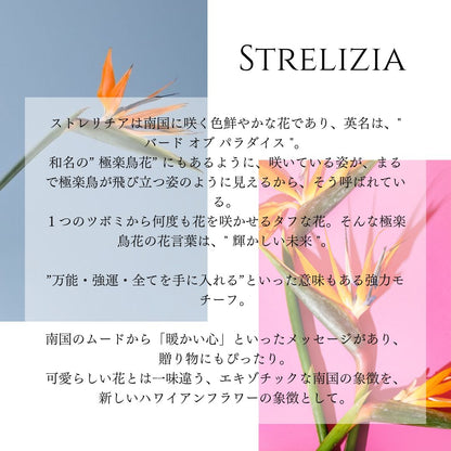 K14 ストレリチア ペンダントトップの意味/ハワイアンジュエリーブランドPUAALLY(プアアリ)