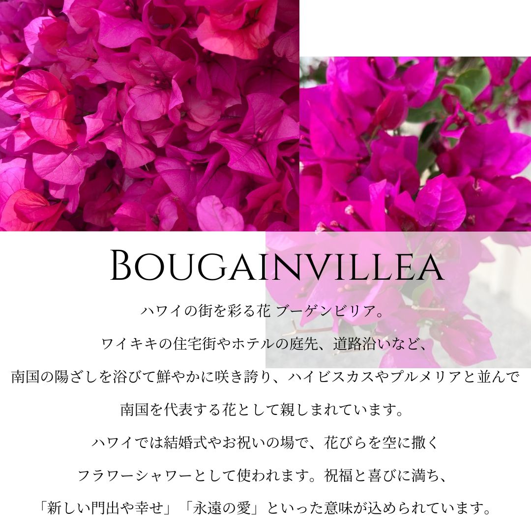 K14 ハワイアン ブーゲンビリヤ ピアス意味画像