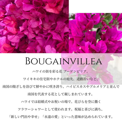 K14 ハワイアン ブーゲンビリヤ ピアス意味画像