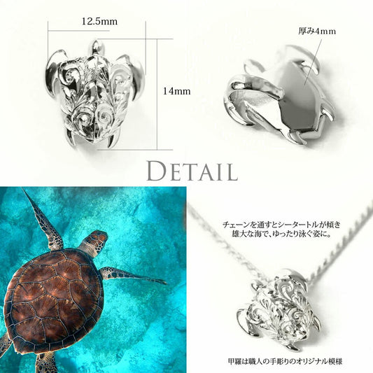 Pt900シータートルPDディテール画像