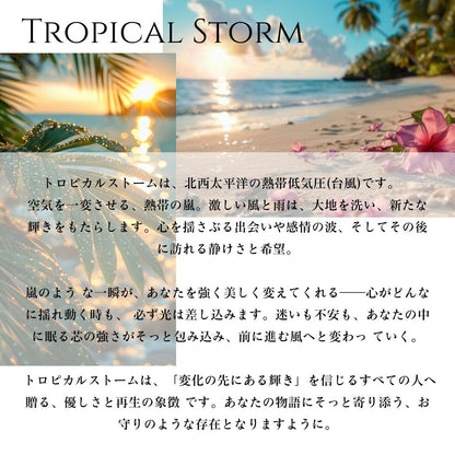 K14 ハワイアン トロピカルストームペンダントトップ意味画像