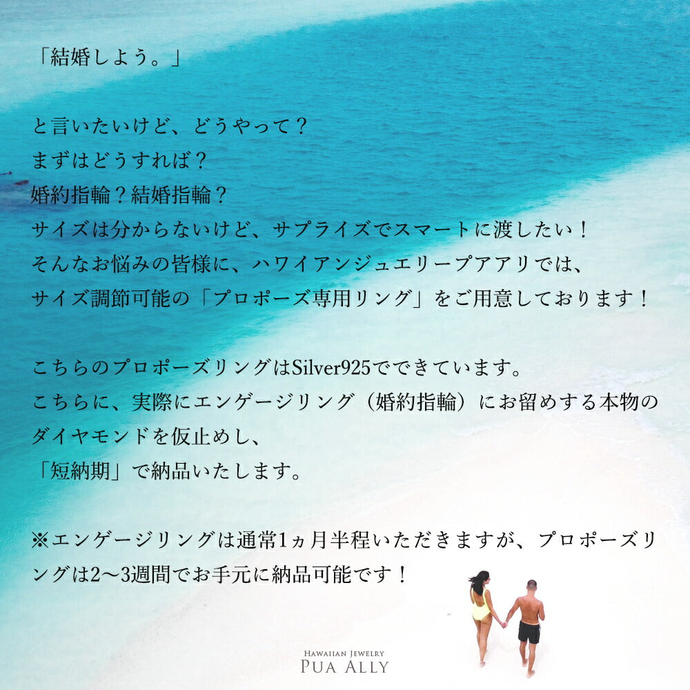 プロポーズリング 0.5ct Panana-羅針盤-