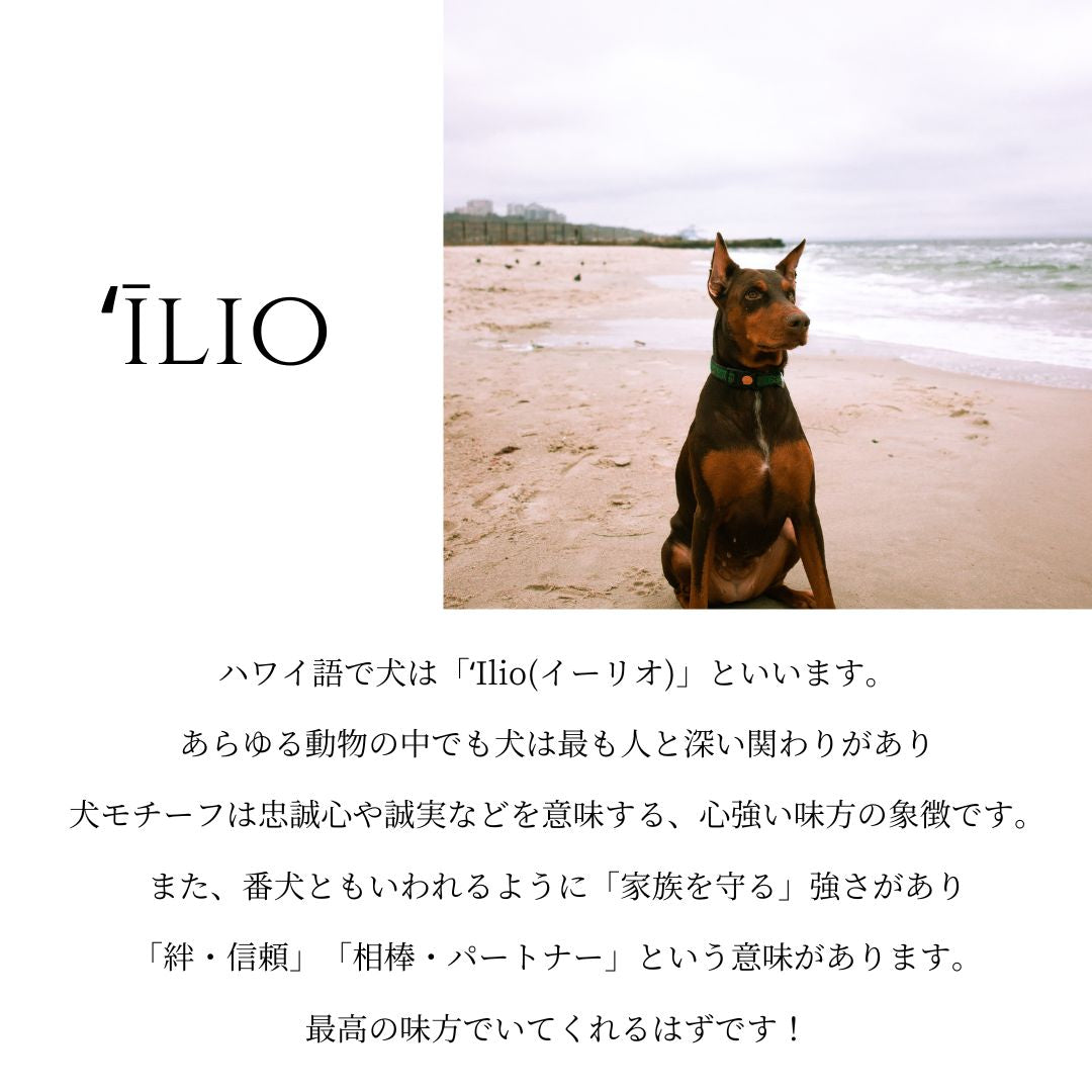 ハワイアントールペイント雑貨 K14 ハワイアン バディーコイン ペンダントトップ – PUAALLY(プアアリ