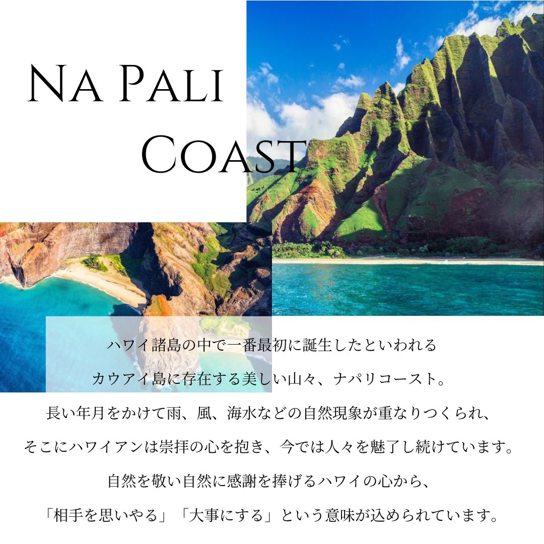 ハワイアン ナパリコーストスタッズ リング意味画像/ハワイアンジュエリーブランドPUAALLY(プアアリ)