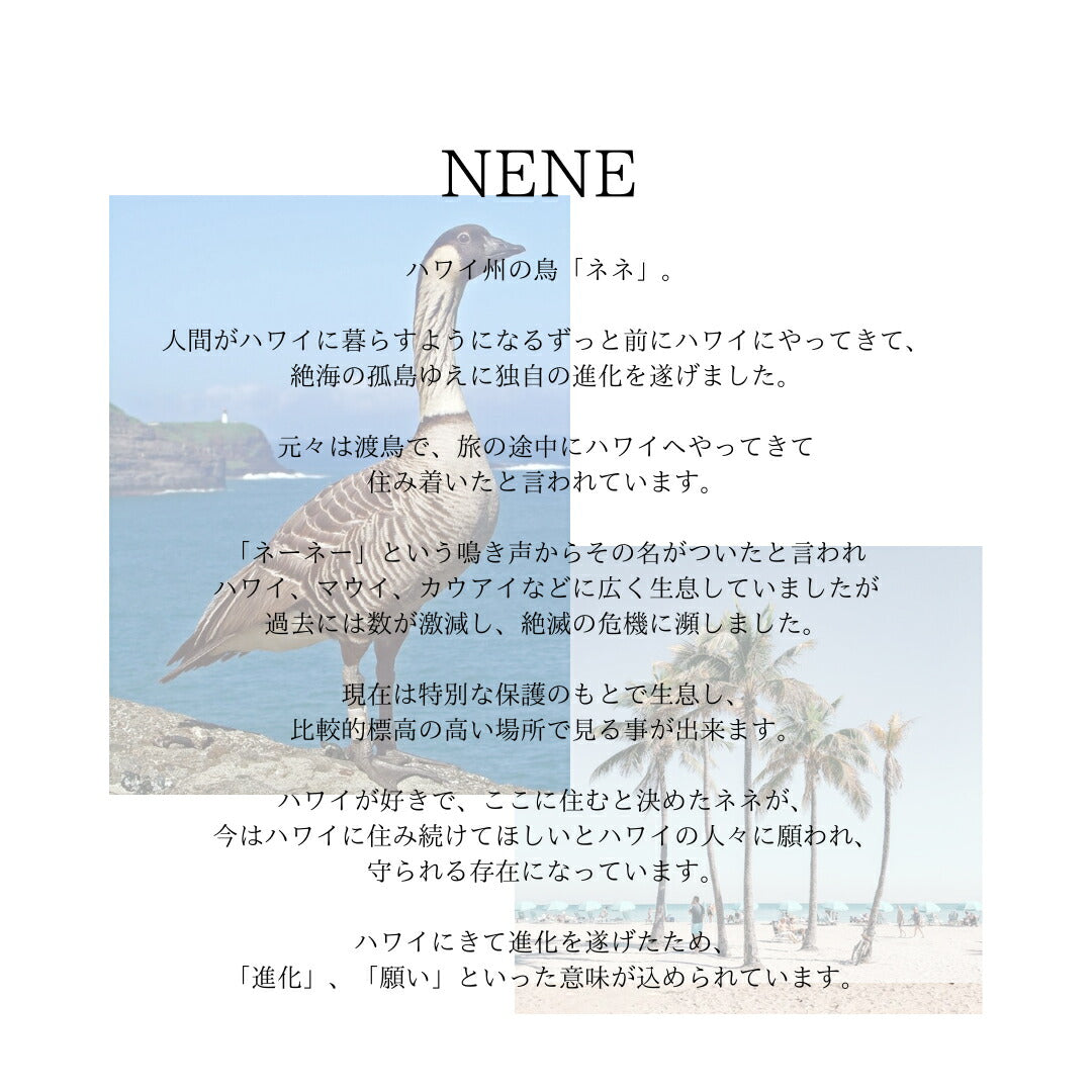 ハワイアンネネコイン リング意味画像/ハワイアンジュエリーブランドPUAALLY(プアアリ)