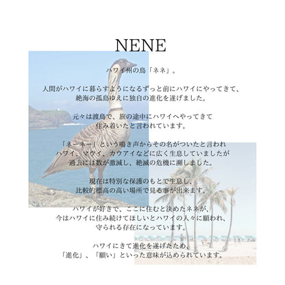 ハワイアンネネコイン リング意味画像/ハワイアンジュエリーブランドPUAALLY(プアアリ)