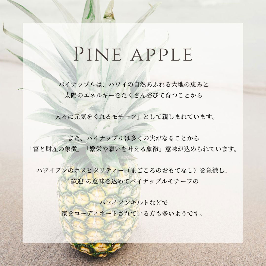 ハワイアン パイナップル 意味画像/ハワイアンジュエリーブランドPUAALLY(プアアリ)
