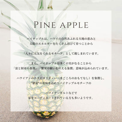 ハワイアン パイナップル 意味画像/ハワイアンジュエリーブランドPUAALLY(プアアリ)