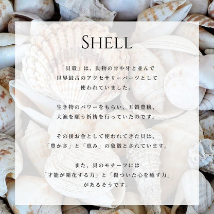 シェル意味画像/ハワイアンジュエリーブランドPUAALLY(プアアリ)
