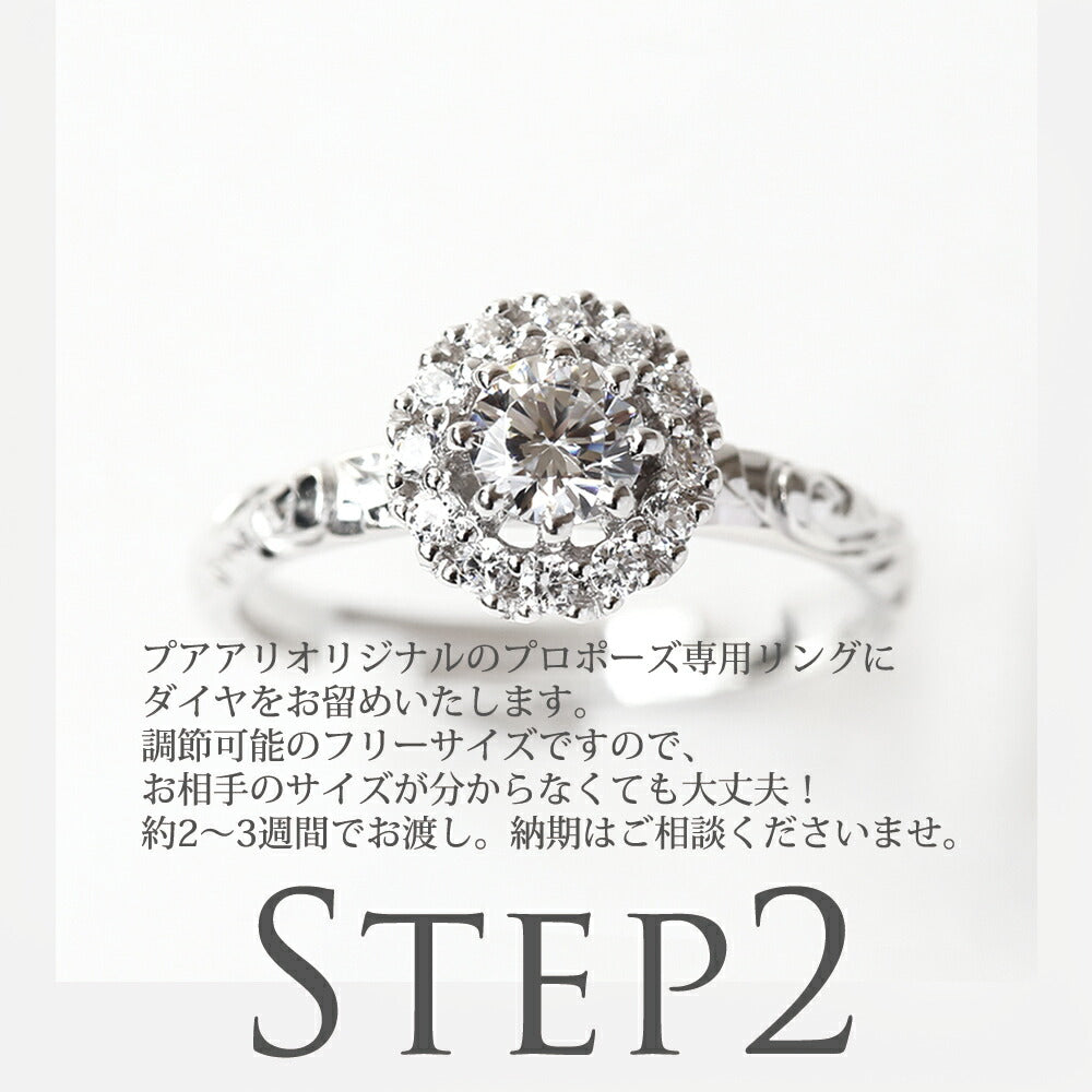 プロポーズリング 0.2ct Panana-羅針盤-